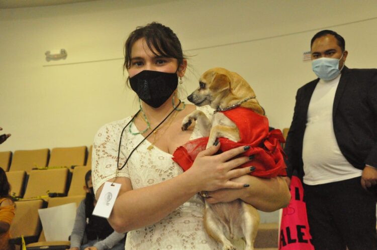 Fiscalía de Tamaulipas contratará peritos veterinarios