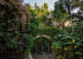 El Jardín Botánico Culiacán, uno de los 7 lugares más bonitos del mundo