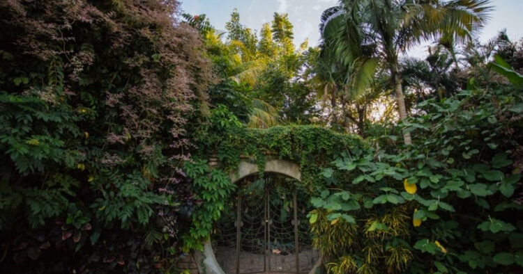 El Jardín Botánico Culiacán, uno de los 7 lugares más bonitos del mundo