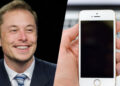Elon Musk podría crear su propia red social