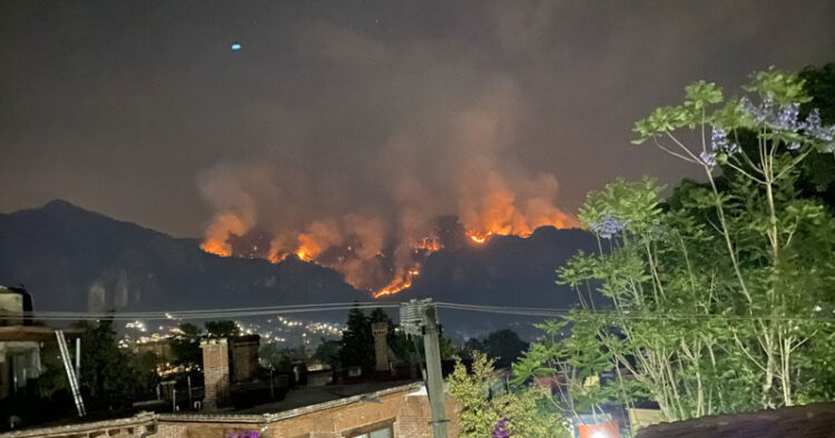 Denuncia Profepa a ‘El Pipiolo’, quien drogado prendió fuego al Tepozteco
