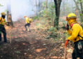 Reportan 33 incendios forestales activos en México