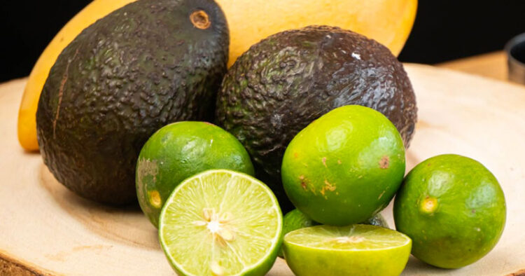 Limón y aguacate excede el precio de los 100 pesos por kilo: Profeco
