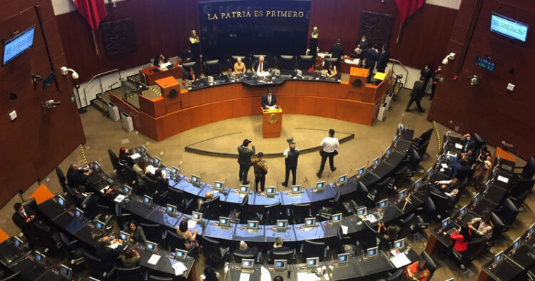 Aprueba el senado reformas al IMSS en favor de las trabajadoras del hogar