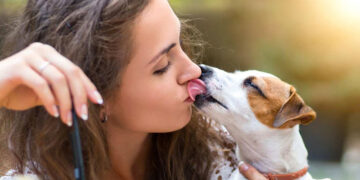 ¿Besar a tu perro es bueno para la salud?