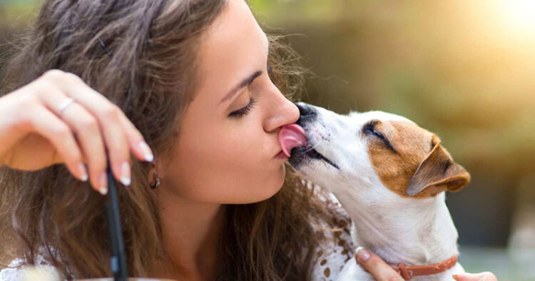¿Besar a tu perro es bueno para la salud?