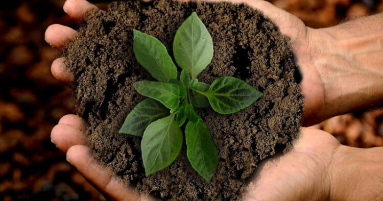 México está a punto de agotar sus recursos naturales: EOD