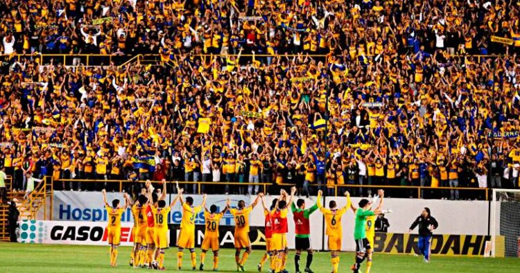 Gobierno de NL controlará  barras de Tigres y Monterrey