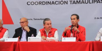 Aianza PRIANRD no será agencia de colocaciones para el PRI