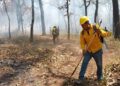 El incendio en la Biósfera de el Cielo ha dañado 3,200 has.