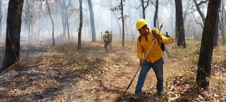 El incendio en la Biósfera de el Cielo ha dañado 3,200 has.