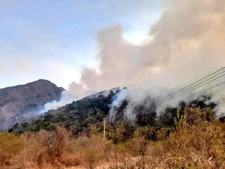 Piden víveres para enfrentar incendio forestal en Los San Pedros