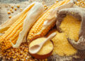 Precio de alimentos se dispara a causa de conflicto Rusia-Ucrania: FAO