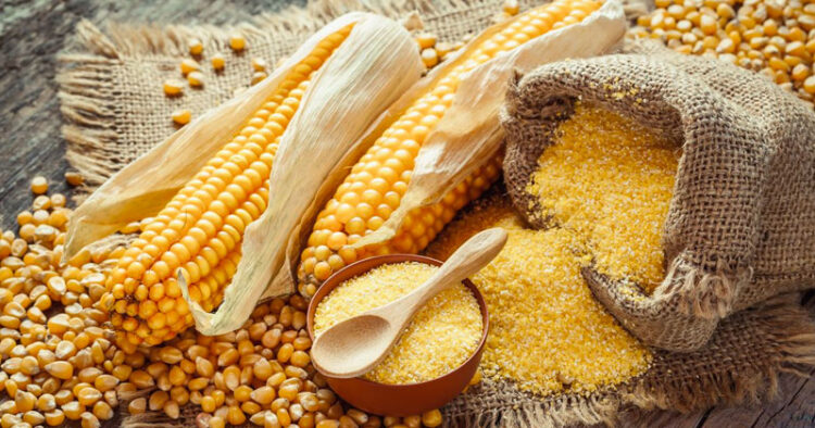 Precio de alimentos se dispara a causa de conflicto Rusia-Ucrania: FAO
