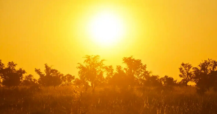 Ola de calor estropea toneladas de alimentos