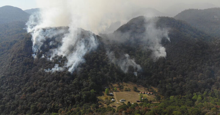 Incendio en “El Cielo”, Tamaulipas cumple 21 días