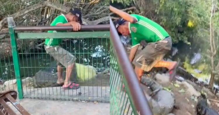 Hombre ebrio patea a cocodrilos en Tampico