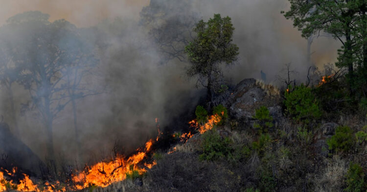 80% de los incendios en México son provocados: Conafor