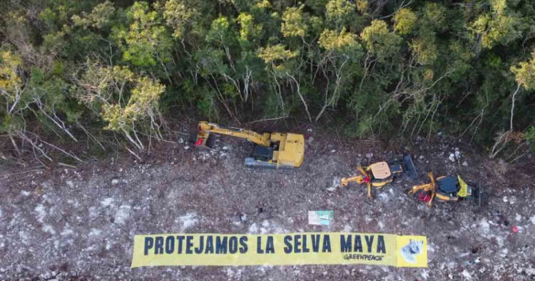 Presentan nuevo amparo contra Tramo 5 del Tren Maya
