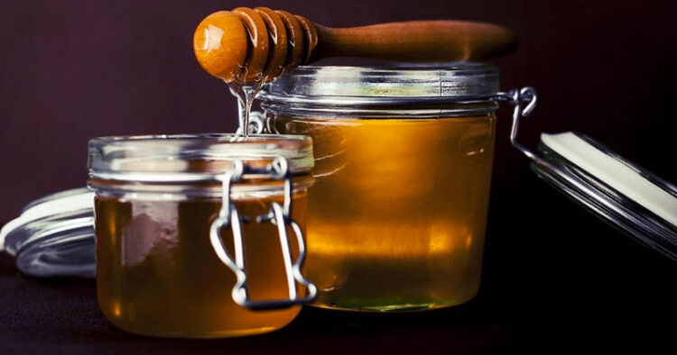 Tamaulipas reduce 50% producción de miel