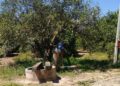 Denuncian sobreexplotación  de pozos en zonas rurales de Tamaulipas