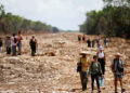 AMLO recorrerá tramos del Tren Maya en Quintana Roo y Tabasco