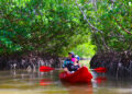 Isla Aguada, Campeche hogar de la “Laguna de Términos”