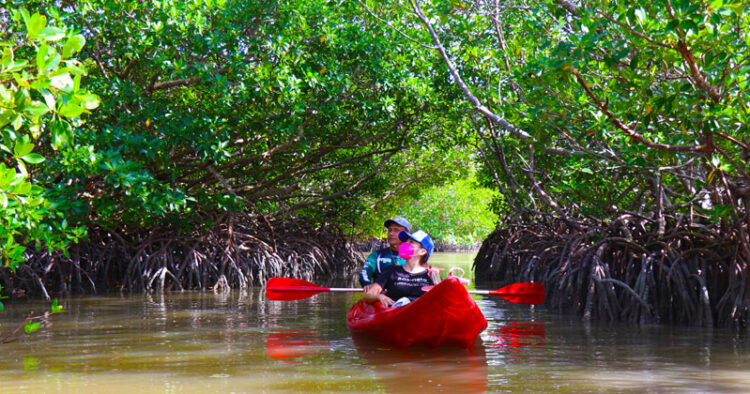Isla Aguada, Campeche hogar de la “Laguna de Términos”
