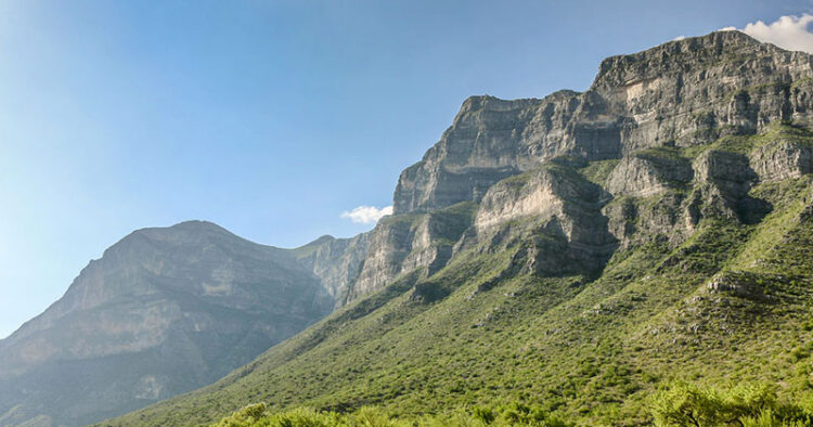 Bustamante, “El jardín de Nuevo León”