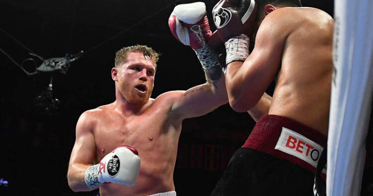 Estas son las dos peleas más importantes en el futuro del «Canelo» Álvarez