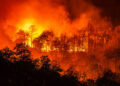 Incendios forestales activos en México aumentan de 68 a 89