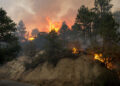 Reporta Conafor 81 incendios forestales activos en México