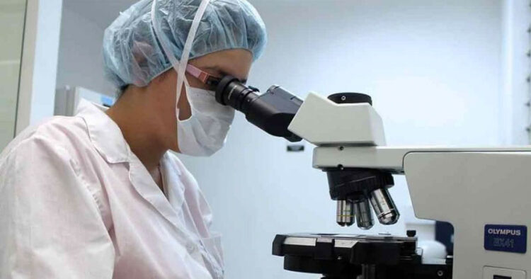 Viruela del mono llega a Latinoamérica