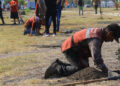 Implementa Municipio programa de reforestación