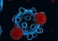 Crean virus que promete acabar con el cáncer