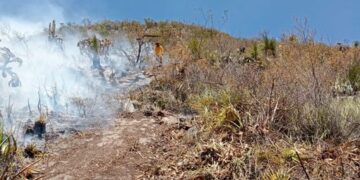  A punto de apagarse el incendio en la Biósfera de El Cielo, en Tamaulipas