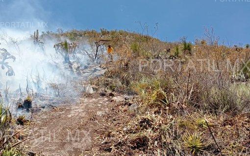 A punto de apagarse el incendio en la Biósfera de El Cielo, en Tamaulipas