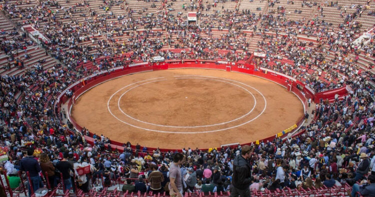 La Plaza de Toros México buscará revertir suspensión