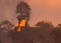 Explosión en ducto de Pemex en Veracruz deja dos heridos