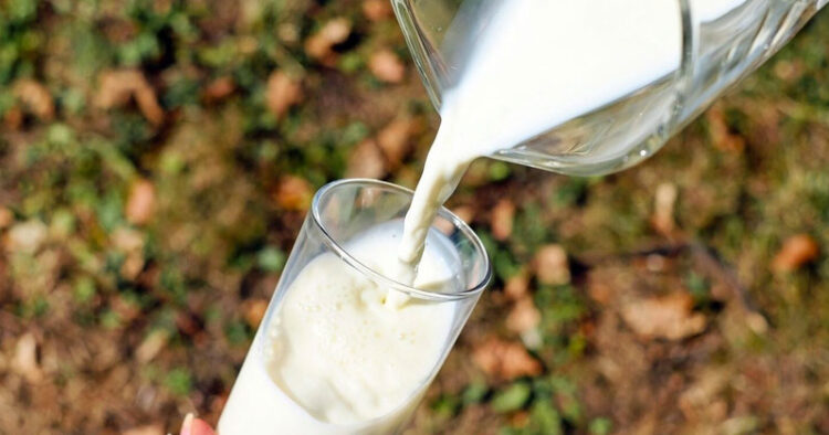 Esto debe costar el litro de leche, según Profeco