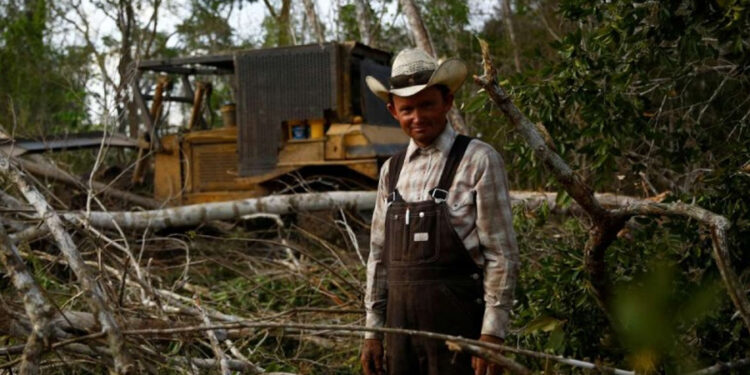 México vigila deforestación menonita