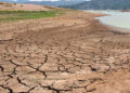 Estos son los estados con mayor sequía en el país según Conagua