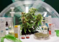 ¿Cannabis medicinal produce o estimula enfermedades cardiacas?