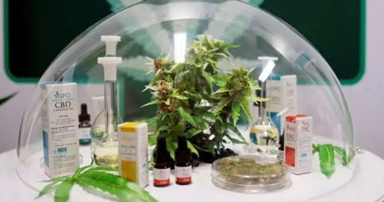 ¿Cannabis medicinal produce o estimula enfermedades cardiacas?