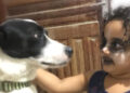 Encuentra a su hija de 3 años maquillándose para parecerse a su perrito
