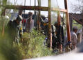 Iría AMLO por rescatistas de otros países para salvar a mineros