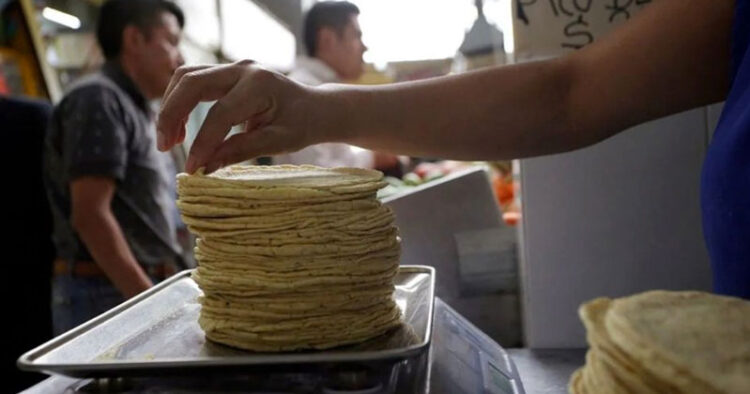 Kilo de tortilla llegó a los 30 pesos y seguirá subiendo: CNT