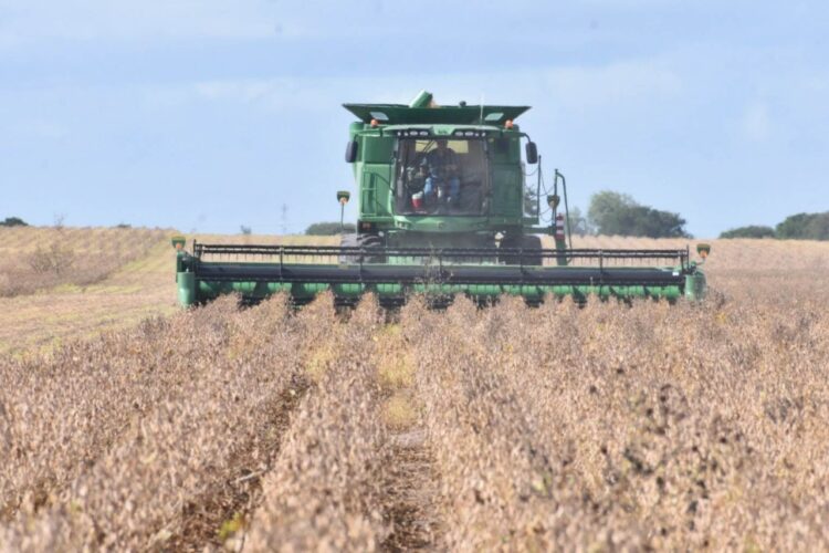 En Tamaulipas, inician siembras del ciclo agrícola Otoño-Invierno 2022-2023