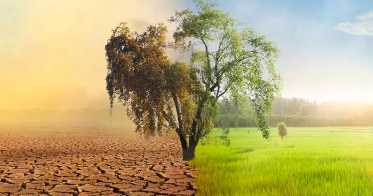 El cambio climático es problema mundial por el CO2: ONU