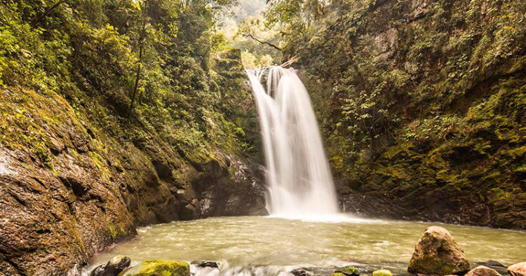 Pahuatlán del Valle, Puebla “lugar de grandes aguacates o pahuas”